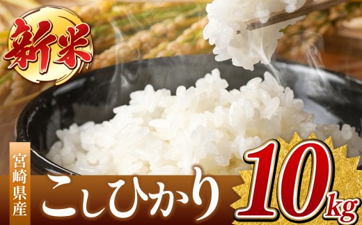 令和7年産 こしひかり 10kg （白米） 宮崎県産 | 米 こめ お米 おこめ 精米 白米 宮崎県 五ヶ瀬町