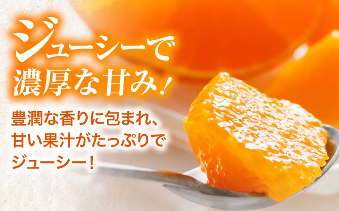 みかん オレンジ フルーツ ミカン 果物 愛媛みかん くだもの 愛媛県産みかん 紅まどんな まどんな マドンナ 紅マドンナ 