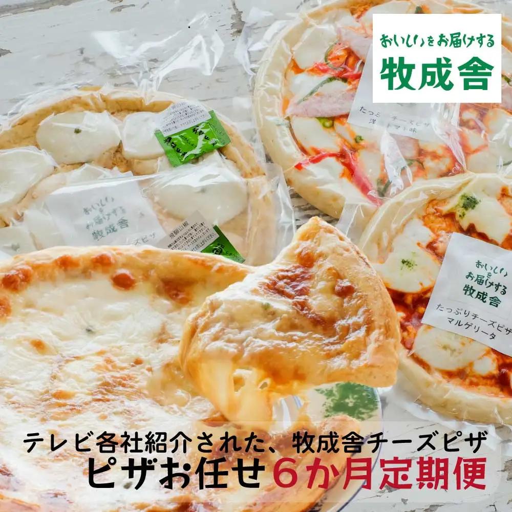 【6カ月定期便】飛騨の牛乳屋 牧成舎 チーズたっぷりピザセット 種類お任せ 定期便 DF115