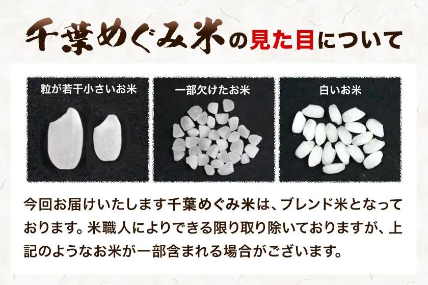 米 精米 千葉めぐみ米 20kg 千葉県産