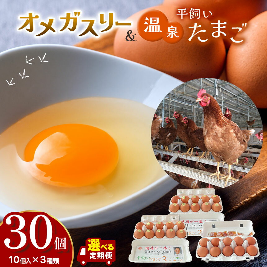 【ふるさと納税】【定期便も選べる】オメガスリーたまご20個、平飼い温泉たまご10個詰め合わせ（合計3パック、30個入り）｜ ふるさと納税 信州 鶏 卵 たまご 温泉卵 長野県 松本市 美味しい