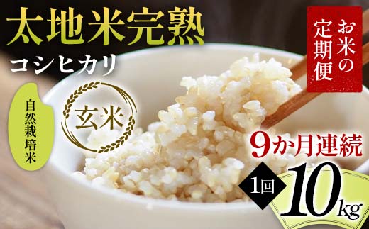 
                  【先行予約】お米の定期便 自然栽培米 太地米完熟 【こしひかり】 玄米10kg×9か月連続 ブランド米 お米 人気 F7X-0778
                