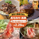 【ふるさと納税】和牛日本一！【 岩元精肉店 】 鹿児島県産黒毛和牛 かごしま黒豚 お楽しみ 2か月お届けコース 肉 お肉 牛肉 和牛 国産牛 黒毛和牛 黒豚 贅沢 鹿児島県産 鍋 しゃぶしゃぶ すき焼き ハンバーグ 加工品 惣菜 鹿児島市 送料無料