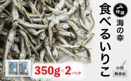 煮干し 小羽 いりこ 350g × 2 煮干し