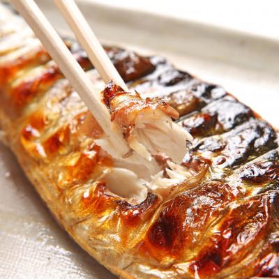 ふるさと納税 小浜市 【2ヵ月毎定期便】塩サバ切身　500g(約7〜10切)全6回 |  | 03