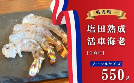 [今期分発送開始] 生食可 塩田熟成 活車海老 ノーマルサイズ 550g ギフト 贈答 化粧箱 国産 海老 えび 刺身 エビフライ 広島県 大崎上島 瀬戸内 離島 新鮮 送料無料 産地直送 ファームスズキ