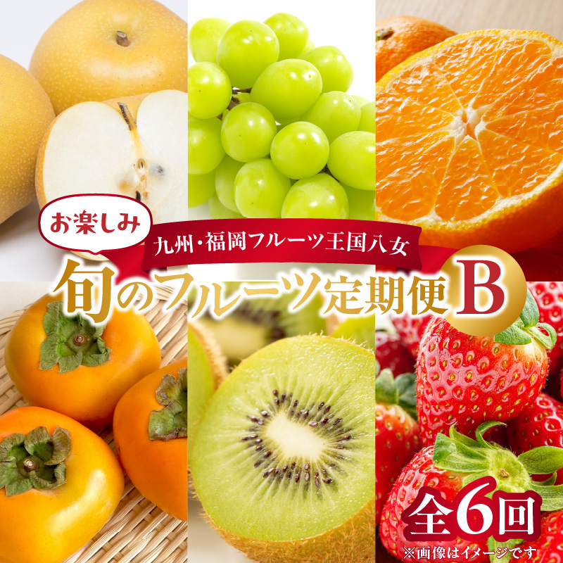 九州・福岡フルーツ王国八女　お楽しみ旬のフルーツ定期便【全６回】Ｂ｜＜配送不可：北海道・沖縄・離島＞
