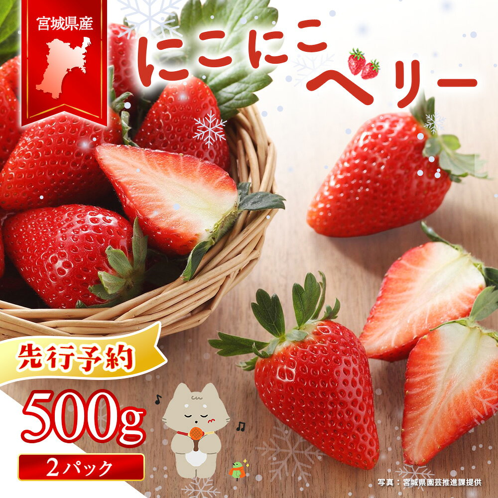 【ふるさと納税】【先行受付】宮城県産いちご「にこにこベリー」約500g（250g×2）| いちご 苺 イチゴ ストロベリー フルーツ 果物 くだもの オリジナル品種 デザート スイーツ 甘味 酸味 断面 赤い 製菓材料 生食 家庭用 お取り寄せ 宮城県 丸森町 丸森【58001AA0101】