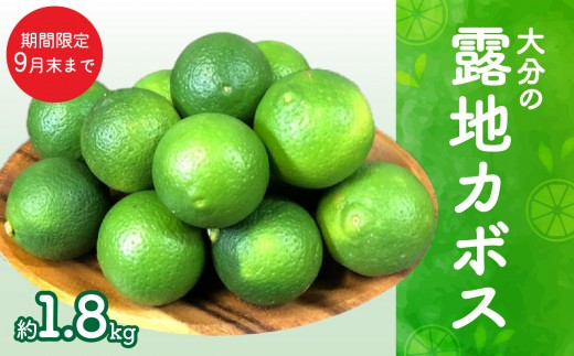 【期間限定9月末まで】大分の露地カボス 約1.8kg 国産 大分県産 新鮮 生絞り カボス かぼす 種あり 果物 フルーツ 料理 柑橘 カボス果汁 万能調味料 ポン酢 揚げ物 焼き魚 焼酎 ハイボール C09022