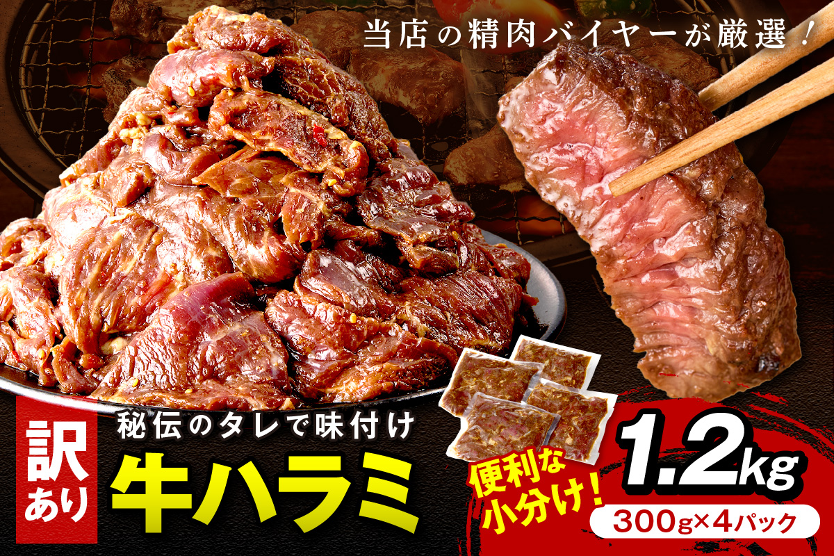 【訳あり】牛ハラミ（サガリ） 秘伝のタレ込み 味付け肉 1.2kg（300g×4パック）　YK00678