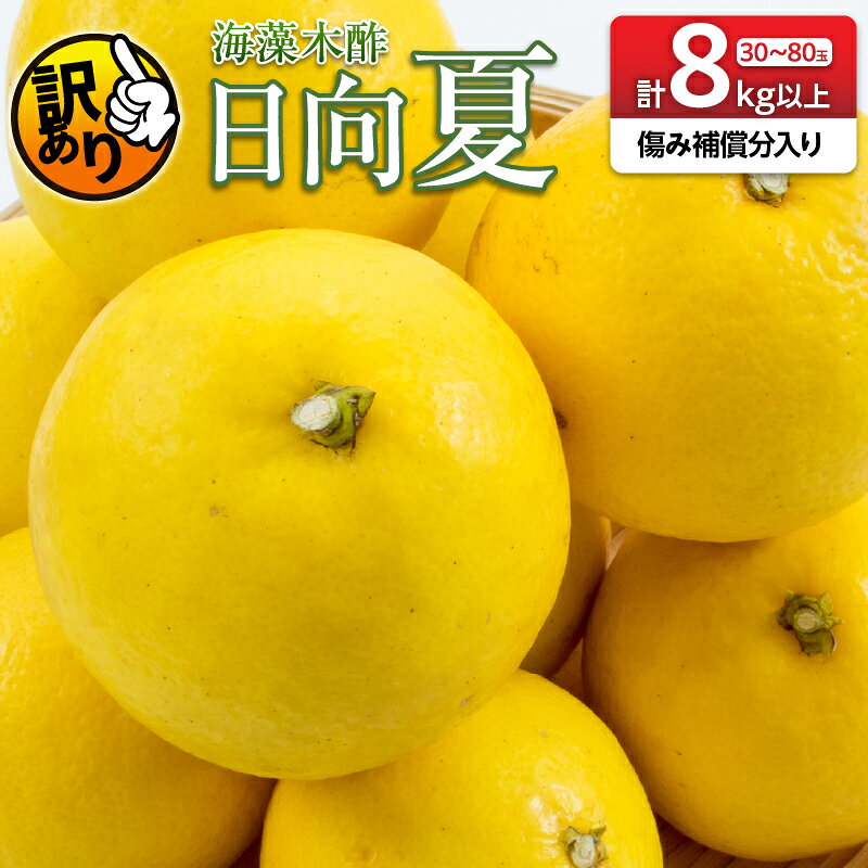 【ふるさと納税】先行予約 訳あり 海藻木酢 日向夏 小夏 計8kg以上 傷み補償分入り フルーツ 果物 くだもの 柑橘 みかん 訳アリ 国産 食品 デザート おやつ おすそ分け おすすめ ご家庭用 ご自宅用 B品 傷 マーマレード 産地直送 宮崎県 日南市 送料無料