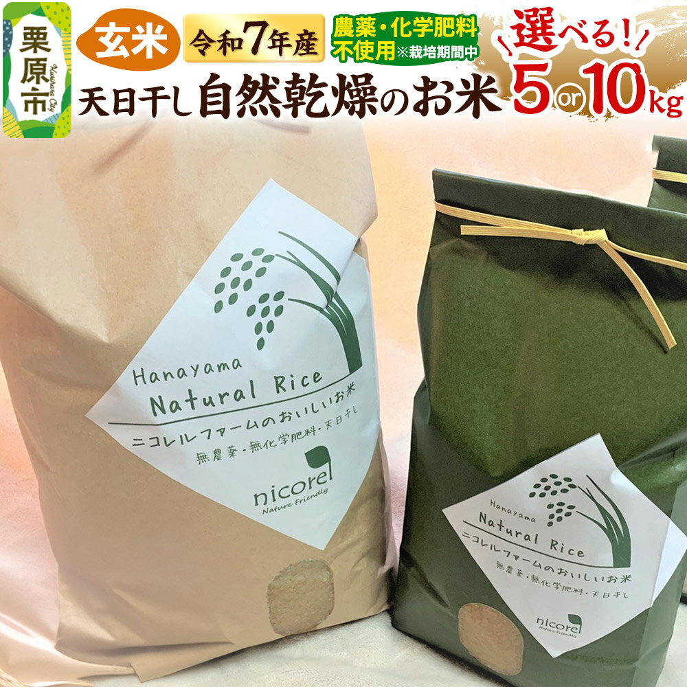 【ふるさと納税】【玄米】令和7年産 (栽培期間中)農薬化学肥料不使用・天日干し自然乾燥のお米 【選べる容量 5・10kg】