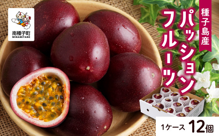 《令和7年度》 種子島産パッションフルーツ 1ケース ( 12個入り )  パッションフルーツ 果物 フルーツ 食品 グルメ お取り寄せ お中元 人気 おすすめ 返礼品 南種子町 鹿児島 かごしま 【有限会社新栄物産】