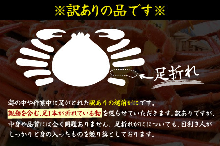 【12月発送】【先行予約】【訳あり】越前がに（小）2～3杯 指折れ 越前ズワイガニ [D-4352_12]