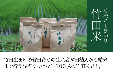 【先行予約・令和8年産新米】 【6ヶ月連続お届け】清流こしひかり 竹田米 5kg × 6回 計30kg （玄米）【2026年9月下旬以降順次発送予定】 [I-7402_02]