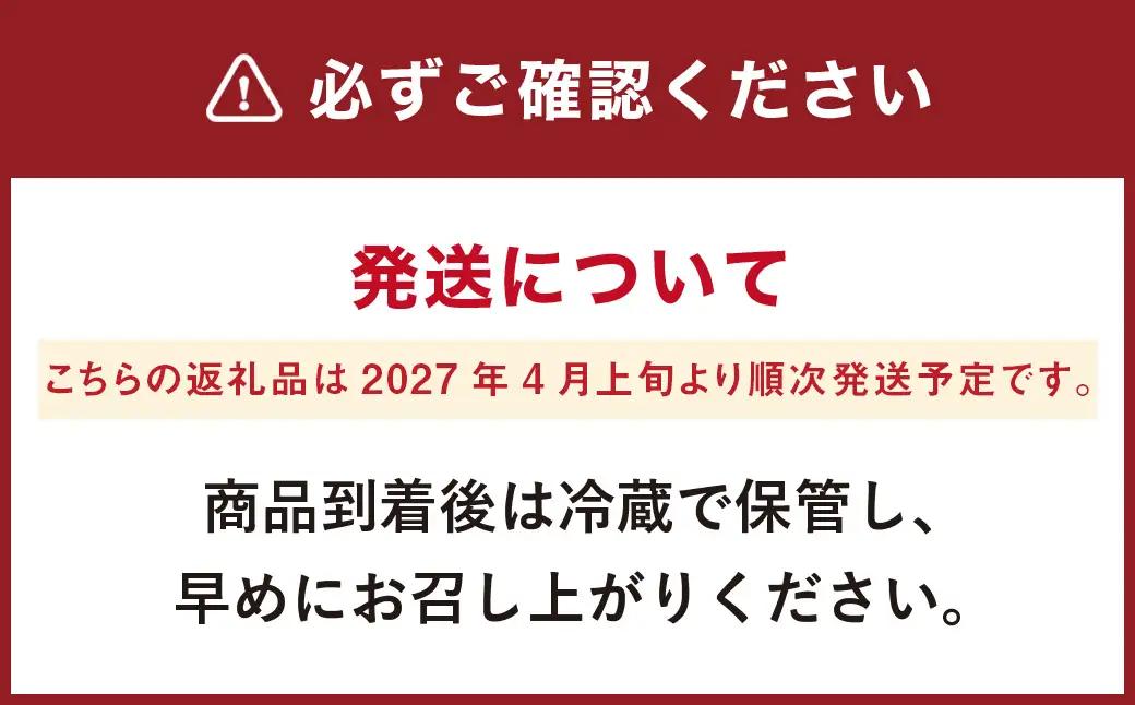 【生産者直送】春の恵み たけのこ 約4kg 以上（2~5本） 【2027年4月上旬発送開始】 やさい 野菜 竹の子 筍 タケノコ 熊本県産