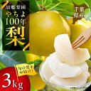 【ふるさと納税】周郷梨園のやちよ100年梨(3kg)【1493887】