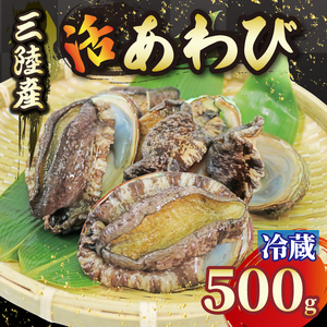 活エゾアワビ 約500g 冷蔵 鮑