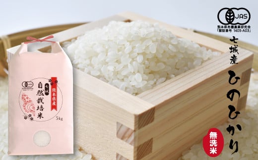 【令和7年産】【無洗米】有機JAS 七城産 ひのひかり 5kg《30日以内に出荷予定(土日祝除く)》