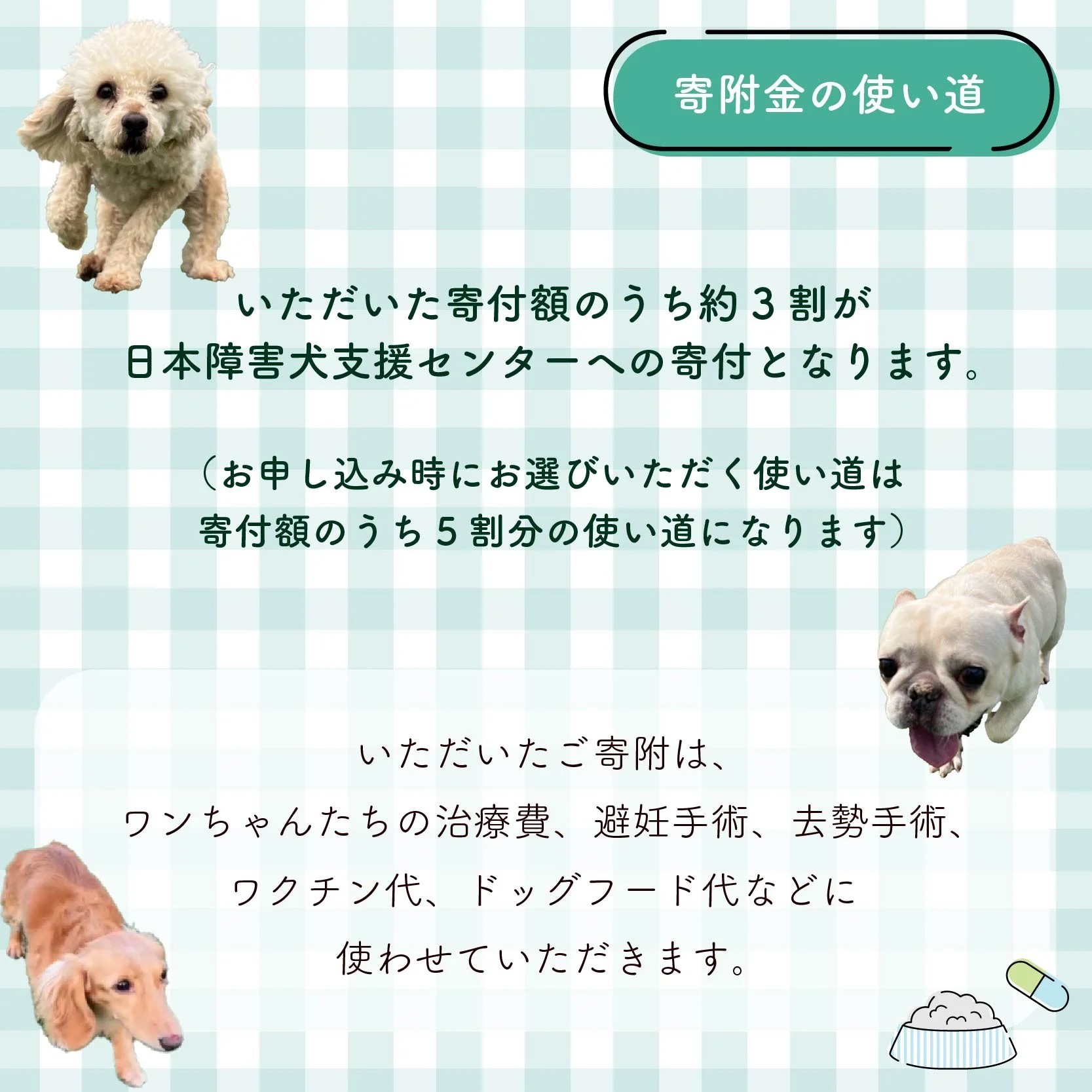 【返礼品なし】 障害犬 保護犬の支援 ハッピープラン 保護 支援 里親 譲渡 治療 餌 犬 動物愛護 藤枝市 静岡県