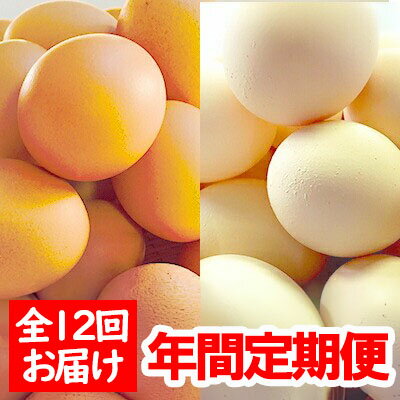 【ふるさと納税】ひまわりたまご紅白セット（年間定期セット）※破卵補償付 （冷蔵） 卵 鶏卵 玉子