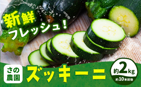 【2026年発送先行予約】ズッキーニ 約 2kg 約 10本 前後 野菜 さの農園《2026年4月中旬-7月上旬頃出荷》岡山県産 瓜 青果 岡山県 矢掛町
