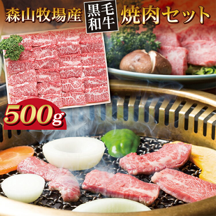 【ふるさと納税】 黒毛和牛 焼肉用 肩ロース モモ バラ 500g 肉 森山牧場 牛肉 和牛 お肉 国産牛 焼肉 焼肉セット 冷凍 _b-444