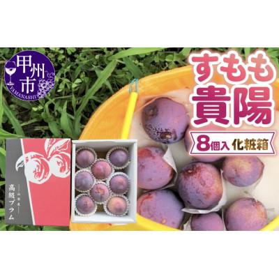 ふるさと納税 甲州市 童夢のすもも「貴陽」化粧箱 8個入り(約1.6〜1.9kg)【2026年発送】