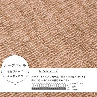 ふるさと納税 和泉市 防ダニ カーペット 6畳 日本製 抗菌防臭 ノースポール 江戸間 261×352cm ベージュ |  | 01