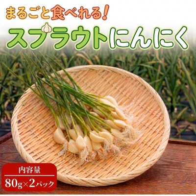 【9月中旬から4月中旬の発送】まるごと!スプラウトにんにく(80g×2パック)栄養満点スーパーフード【配送不可地域：離島】【1735502】