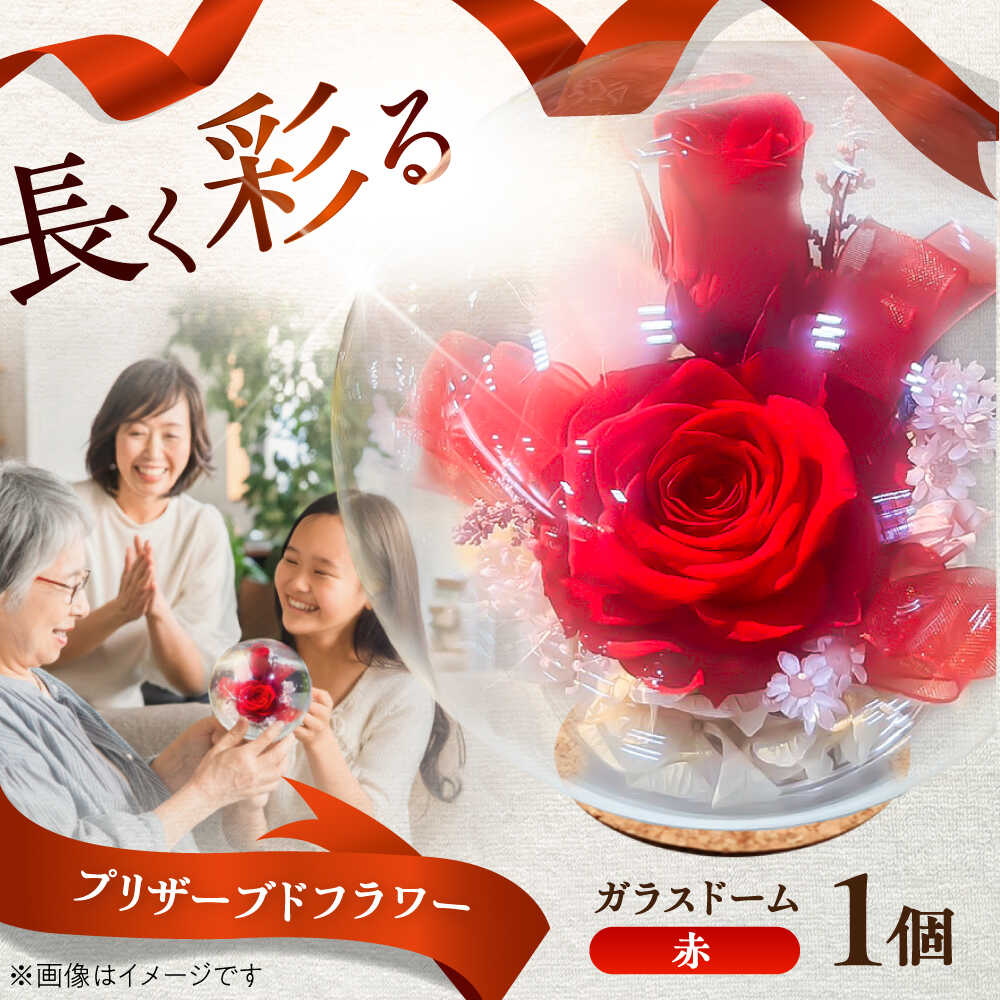 【ふるさと納税】プリザーブドフラワー　ガラスドーム (赤) / プリザーブド フラワー ガラス ドーム 花 プレゼント 誕生日 記念日 結婚祝い 母の日 父の日 敬老の日 開店祝い 新築祝い 入学式 卒業式 枯れない 長持ち 菊陽 熊本【株式会社 美向】[BHDC004]