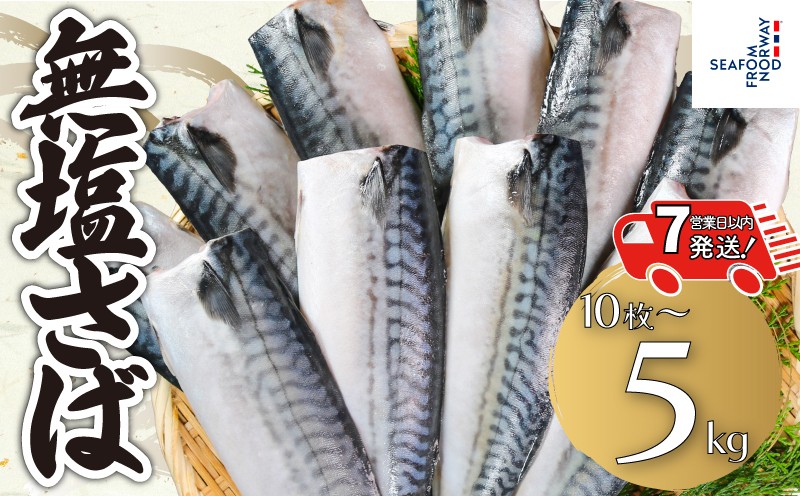 
                  【 スピード配送 】 無塩さば 【選べる容量】 10枚～5kg さば 鯖 無塩 無塩鯖 さばフィーレ 鯖フィーレ さばフィレ 鯖フィレ 食塩不使用 切り身 切身 無添加 添加物不使用 小分け 個別冷凍 お弁当 惣菜 おかず 塩焼き 味噌煮 調理用 料理 冷凍 冷凍品 長期保存 保存食 鮮度 お取り寄せ グルメ 食品 魚 大容量 ふるさと納税 ふるさと納税さば 送料無料 千葉県 銚子市 エドノフーズ
                