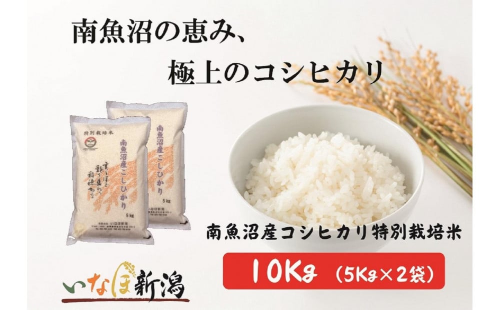 
            【令和7年産新米予約】南魚沼産コシヒカリ特別栽培米 白米 10kg(5kg×2)【2025年10月上旬より順次発送予定】
          