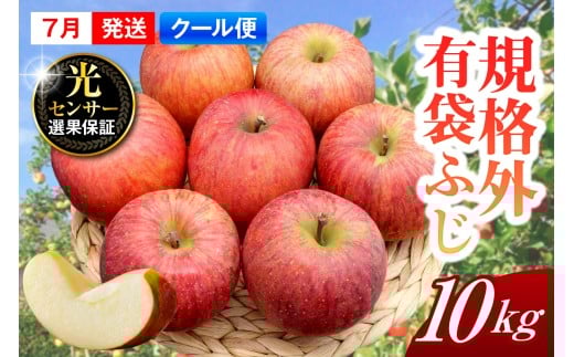 【2026年7月上旬発送】【規格外】 りんご 約10kg 有袋ふじ スマートフレッシュ™貯蔵 または CA貯蔵 【クール便】 青森県産