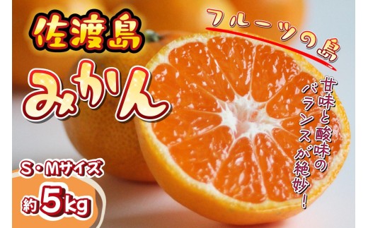 【数量限定】【2026年11月中旬以降順次発送】佐渡島産みかん（ゆら早生）S・Mサイズ　約5kg