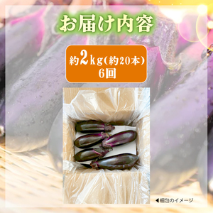 なす 約 2㎏ 約20本 6回定期便 高知県安芸市｜ナス AR007