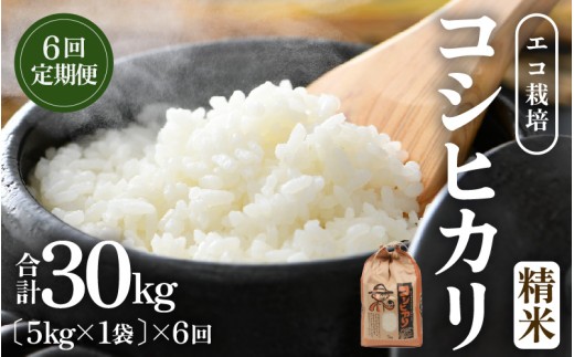 【先行予約】【令和8年産 新米】エコ栽培コシヒカリ  白米5kg×6回 計30kg ／ 鮮度抜群 福井県産 こしひかり ご飯 新鮮 白米 ※2026年10月上旬以降順次発送 [aw063-f005]