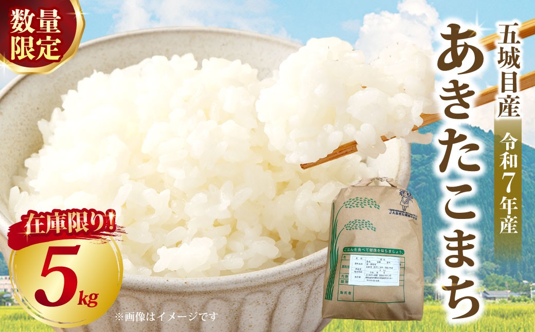 
                  【 数量限定 】 令和7年産米五城目産 あきたこまち 新米切替前 在庫限り 5kg × 1袋 お米 米 こめ コメ 白米 精米 白飯 飯 ご飯 おにぎり 国産 秋田県産 ブランド米 【 2026年11月下旬まで発送予定 】
                