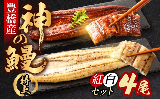 【通常お届け】うなぎの新ブランド、開幕。『神の鰻』4尾【紅白セット】 国産 特上 選べる お届け時期 鰻 うなぎ unagi ウナギ 蒲焼 長蒲焼 国産うなぎ 上 特上 贈答 ギフト お歳暮 プレゼント お祝い 誕生日 土用の丑の日 愛知県 豊橋市