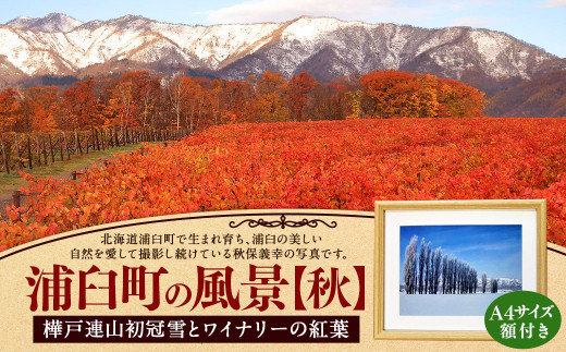 浦臼町の風景（A４サイズ）額付き 秋