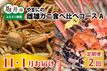 【先行予約】【年2回定期便】越前がに・せいこがに食べ比べコースA [G-4353]