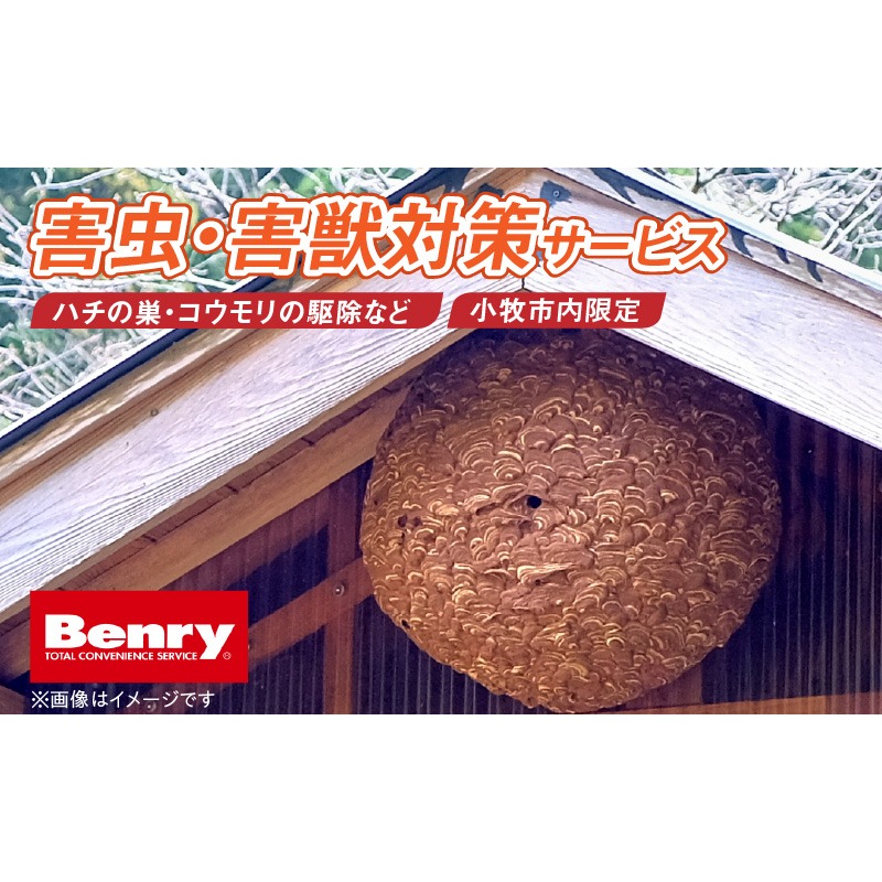 害虫、害獣対策サービス［067S13］害虫駆除 害獣対策 代行サービス 小牧市内 ハチの巣駆除 蜂 毛虫 病害虫 コバエ ハエ退治 コウモリ駆除 駆除 白アリ べんりーさつき 小牧味岡店 軽作業 作業 おまかせ 安心 Benry 愛知県 小牧市