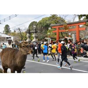 奈良マラソン2025出走権(マラソン種目)1人分【1626986】