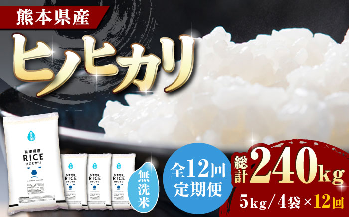 〈令和8年度産米〉 【全12回定期便】 ヒノヒカリ 無洗米20kg【株式会社  農産ベストパートナー】 令和7年産 [ZBP120]