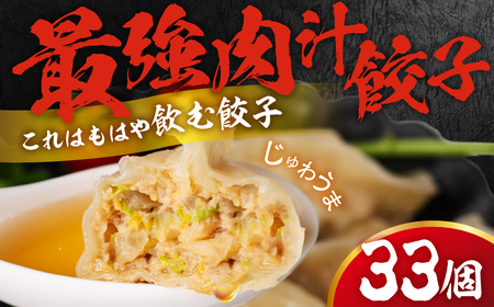 とよはし『最強肉汁餃子』33個 肉汁餃子 ぎょうざ 大容量 簡易包装 訳あり