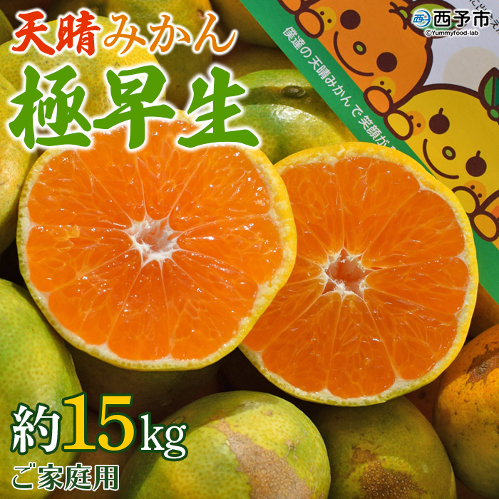 ＜天晴みかん 極早生 ご家庭用 約15kg＞ 柑橘 果物 フルーツ 期間限定 季節限定 特産品 温州みかん 家庭用 自宅用 ジャム サラダ 株式会社笑丸 愛媛県 西予市