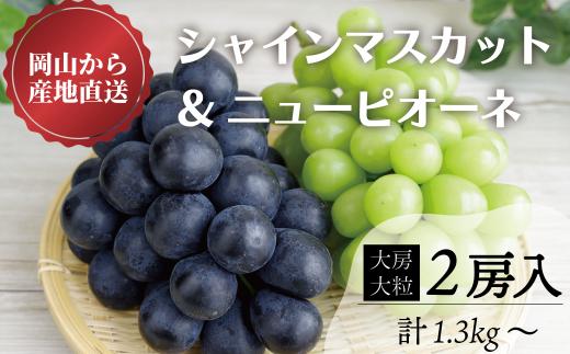 KF-B069【きよとう】岡山県産シャインマスカット＆ニューピオーネ食べ比べ　特大２房