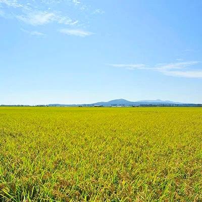 ふるさと納税 大潟村 あきたこまち無洗米5kg |  | 03