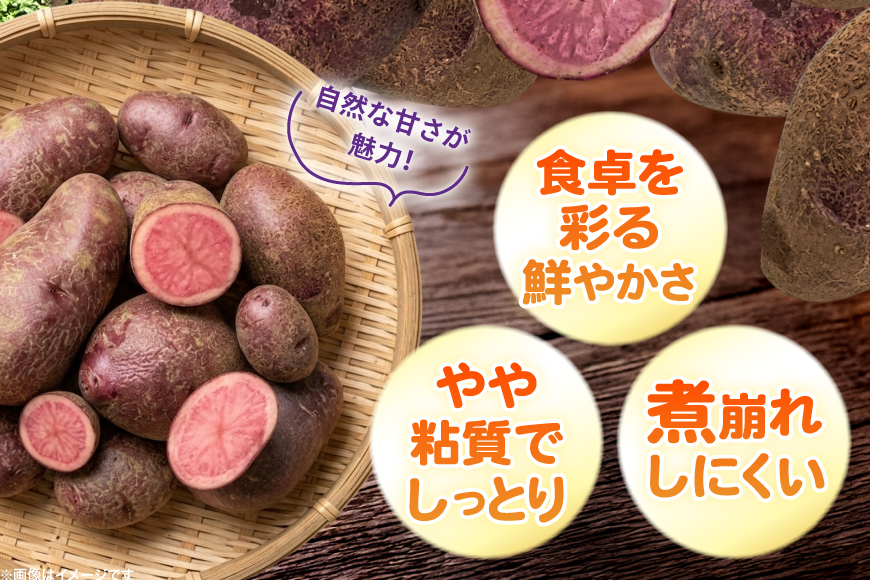 じゃがいも ノーザンルビー 5kg [けんぶちVIVAマルシェ 北海道 剣淵町 14656392] ジャガイモ 芋 いも ポテト 野菜 秋野菜 秋 常備野菜 カレー シチュー ポテトサラダ コロッケ