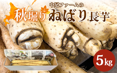【秋堀り】中尾ファームのねばり 長芋 5kg【34001】